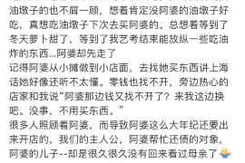 南郊为什么选择专业追讨公司来处理您的债务纠纷？